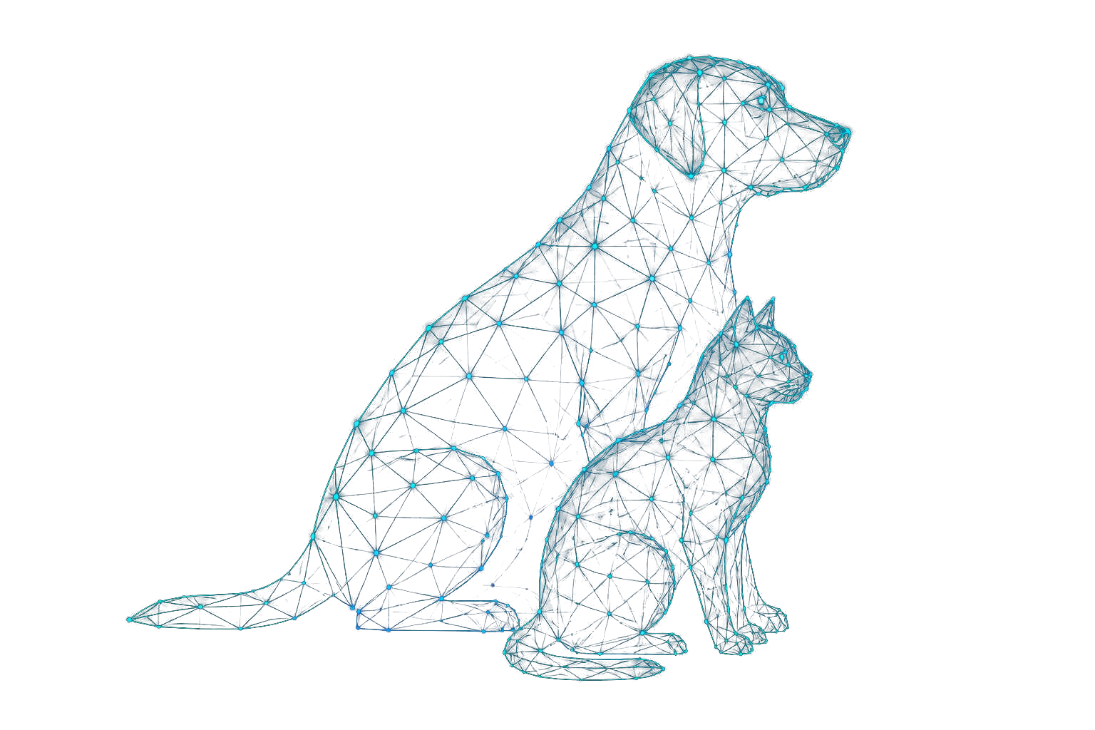 Cão e gato representados como malha neural conectada